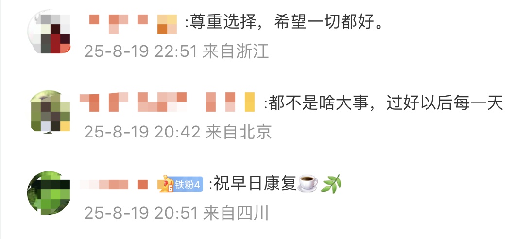 安赛龙在经, 娅比安赛龙