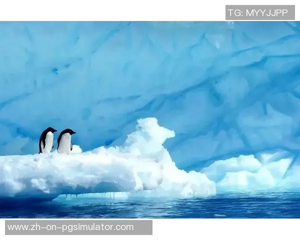 南极与北极足球明星对决引领冰雪奇迹与极限竞技风潮